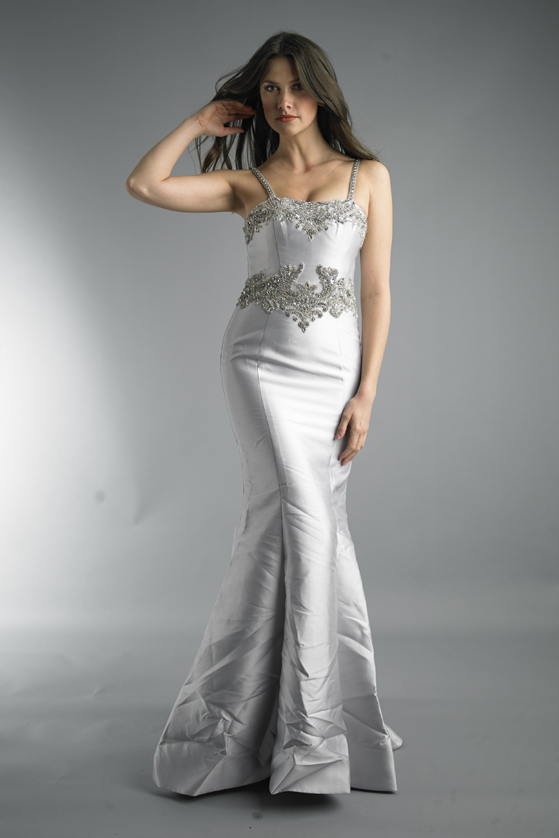 embroidered evening dress