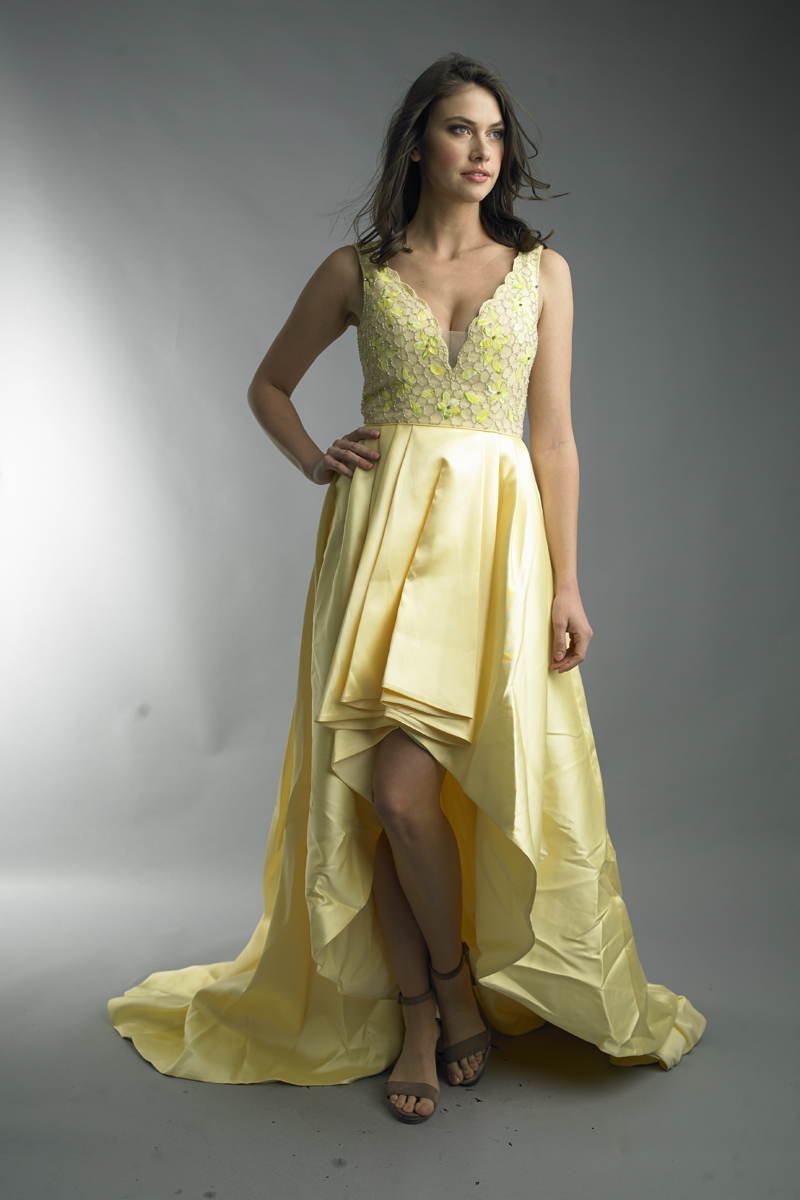 Hi Lo evening gown