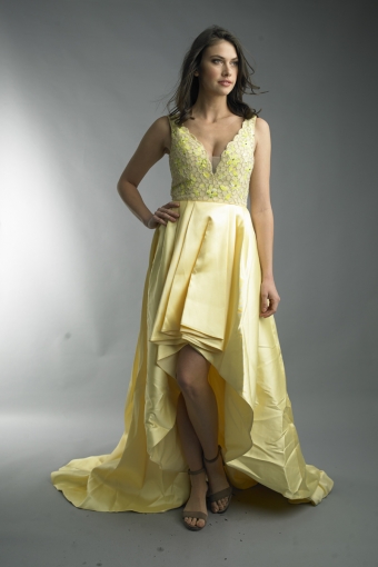 Hi Lo evening gown