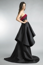 Back View