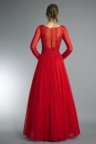 Back View