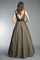 Back View