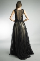 Back View