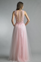 Back View