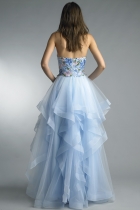 Back View