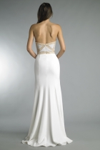 Back View
