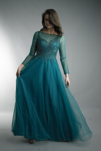 Long sleeve formal gown with sheer sleeves