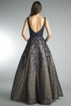 Back View