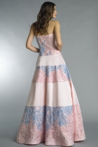 Back View