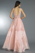 Back View