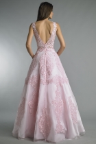 Back View