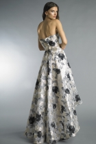 Back View
