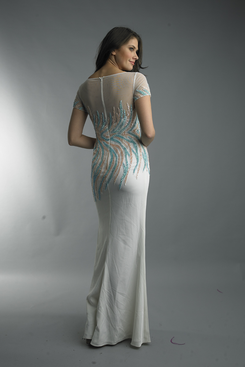 short sleeve evening dress