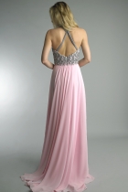 Back View
