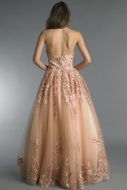 Back View