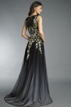 Back View