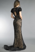 Back View