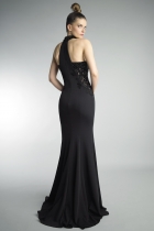 Back View