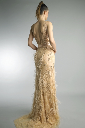 Illusion Burnout Feathered Sleeveless Gown