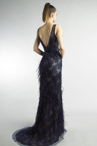 Illusion Burnout Feathered Sleeveless Gown