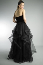 Back View