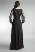 Back View