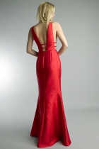 Back View