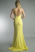 Back View