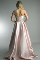 Back View