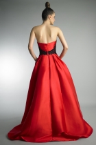Back View