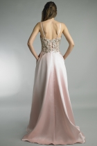 Back View