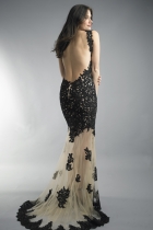 Back View