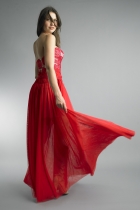 Back View
