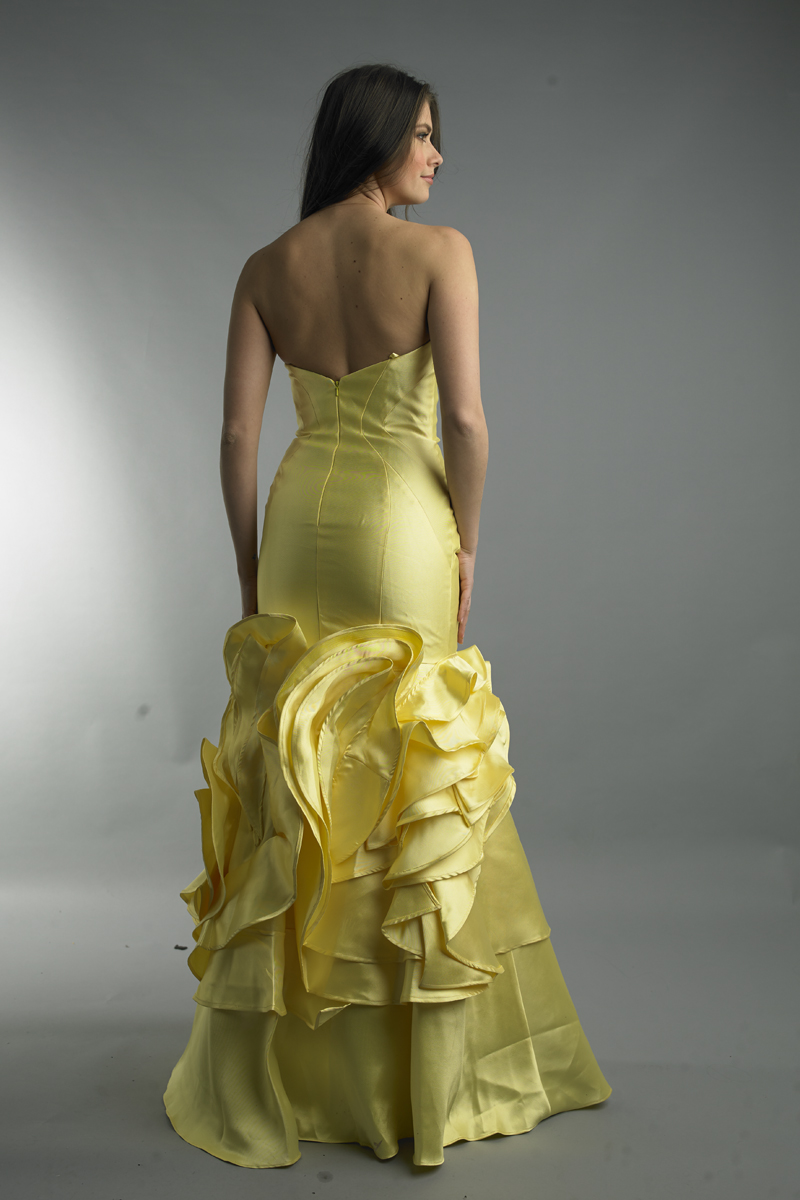 Sleeveless evening gown