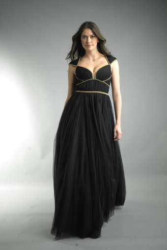 gold braid detail evening dress