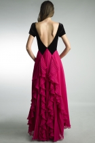Back View