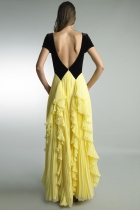 Back View