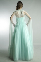 Back View