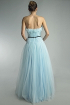 Back View