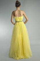 Back View