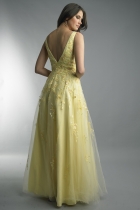 Back View