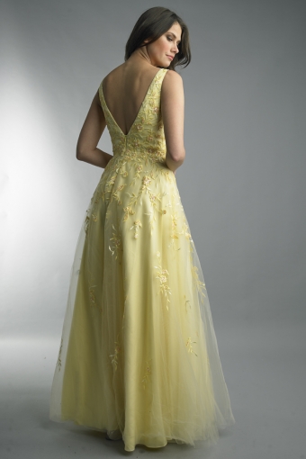 Sleeveless evening gown