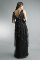 Back View