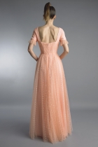 Back View