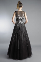 Back View