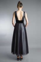 Back View