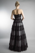 Back View