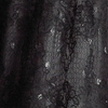 BLACK SILVER