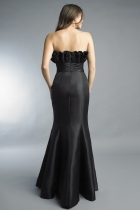 Back View