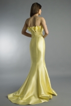 Back View